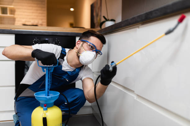 Best Mosquito Control Services  in Beverly Hills, TX
