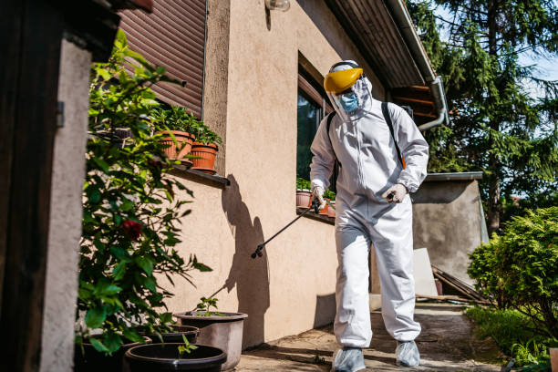 Pest Prevention Services in Beverly Hills, TX
