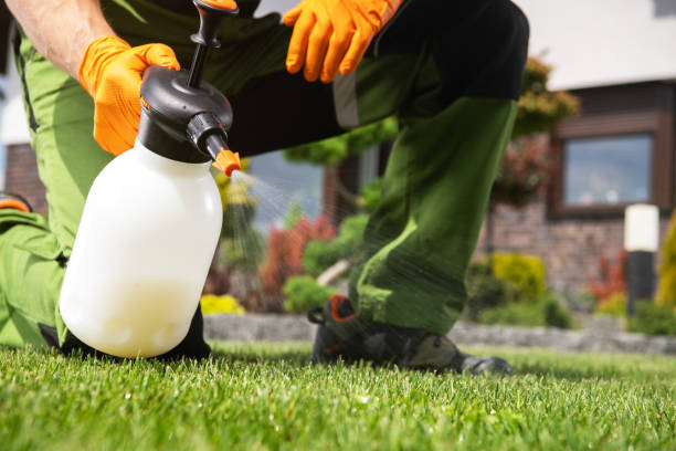 Best Spider Control Near Me  in Beverly Hills, TX
