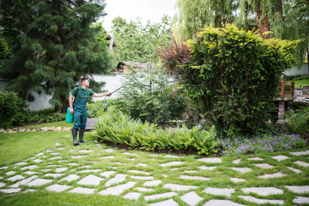 Best Emergency Pest Control  in Beverly Hills, TX