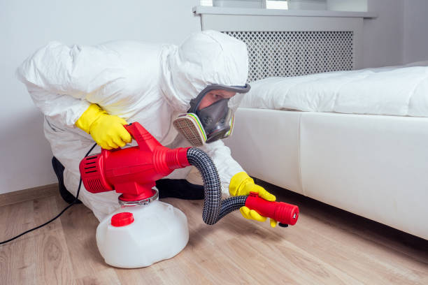 Best Pest Prevention Services  in Beverly Hills, TX