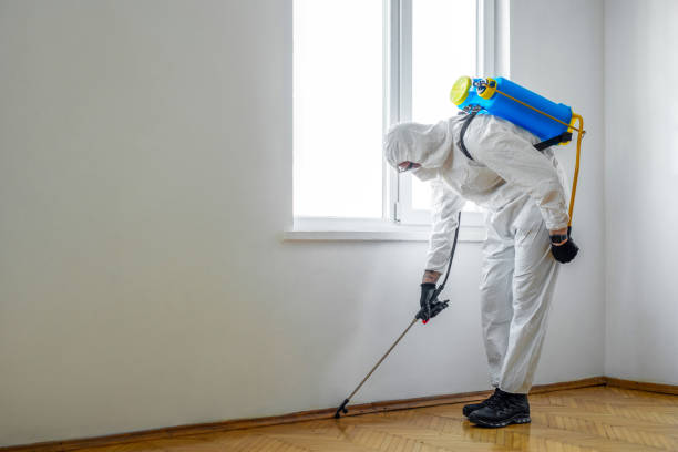 Best Local Pest Control Services  in Beverly Hills, TX