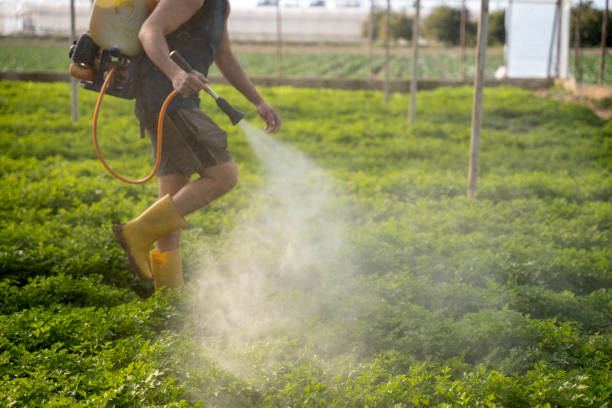 Best Mosquito Control Services  in Beverly Hills, TX