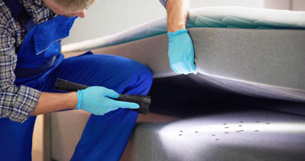 Best Ant Control Services  in Beverly Hills, TX