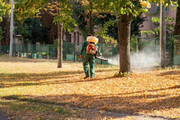 Beverly Hills, TX Pest Control Company