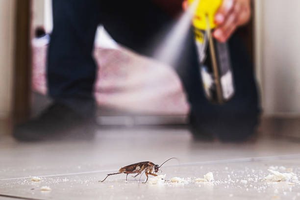 Pest Control Cost in Beverly Hills, TX