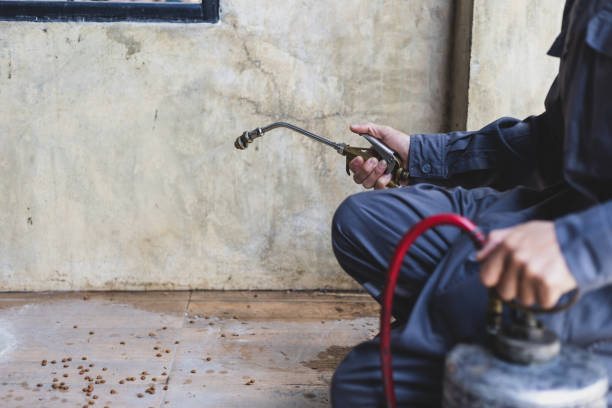 Best Residential Pest Control  in Beverly Hills, TX